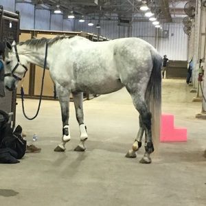 Meet your Posher, Mackenzie